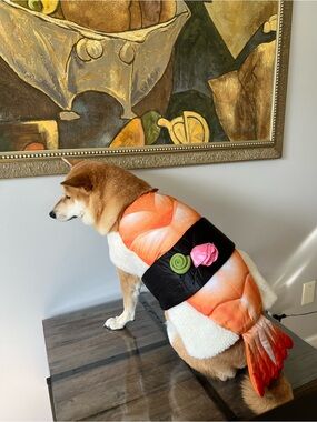 Dog Sushi Shrimp Pet Costume Outfit Size Large Nigiri sushi Dog costume